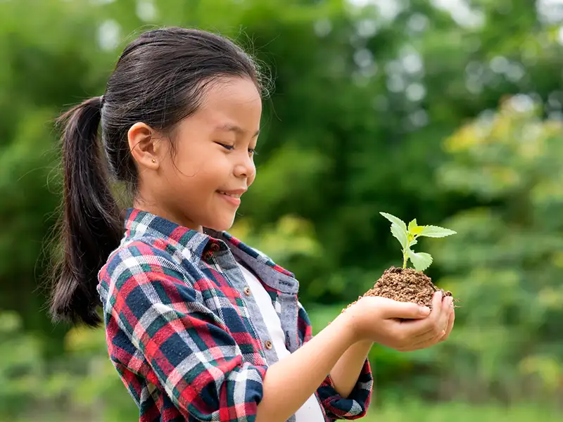 Rechazo Social: La enfermedad oncológica de las renovables