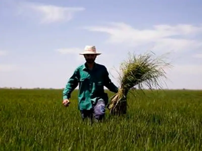 La licencia social no existe y, de existir, no se otorga: se cultiva